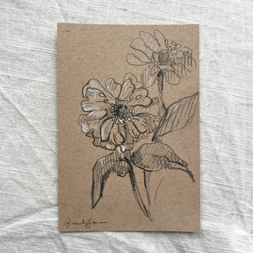 (Copy) ZINNIA NO. 2 | ORIGINAL SKETCH ON TONED PAPER 4