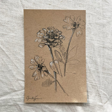 ZINNIA NO. 1 | ORIGINAL SKETCH ON TONED PAPER 4