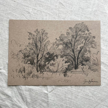 AUTUMN TREES | ORIGINAL SKETCH ON TONED PAPER 5