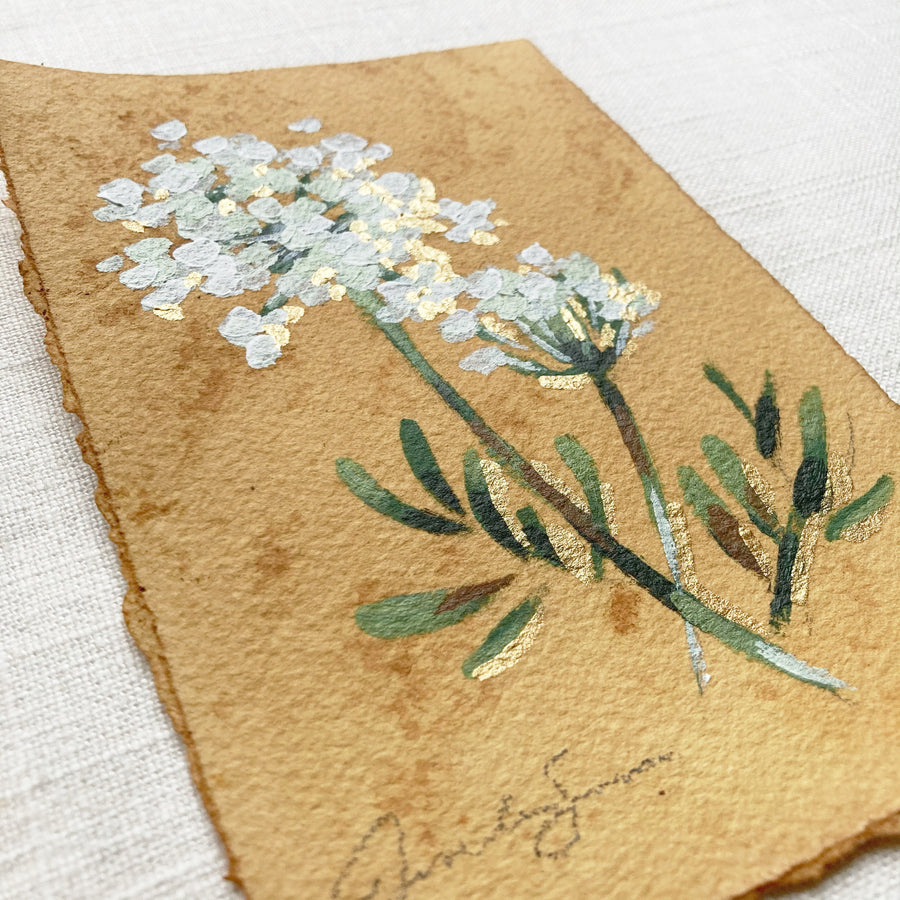QUEEN ANNES LACE ON TEA-DYED PAPER | ORIGINAL PAINTING 4
