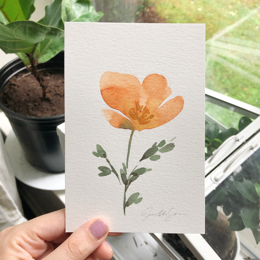 CALIFORNIA POPPY | ORIGINAL PAINTING 4