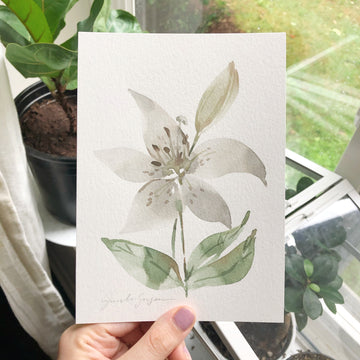 WHITE LILY | ORIGINAL PAINTING 5